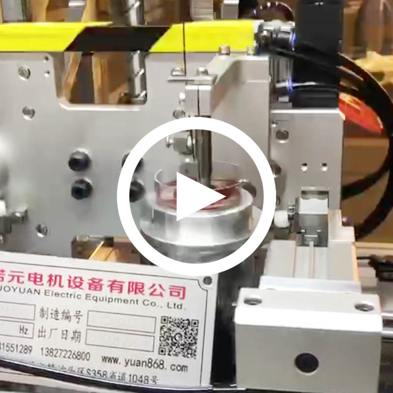 馬達(dá)定子全自動(dòng)繞線機(jī)（雙工位）