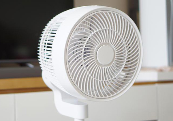 電風(fēng)扇電機